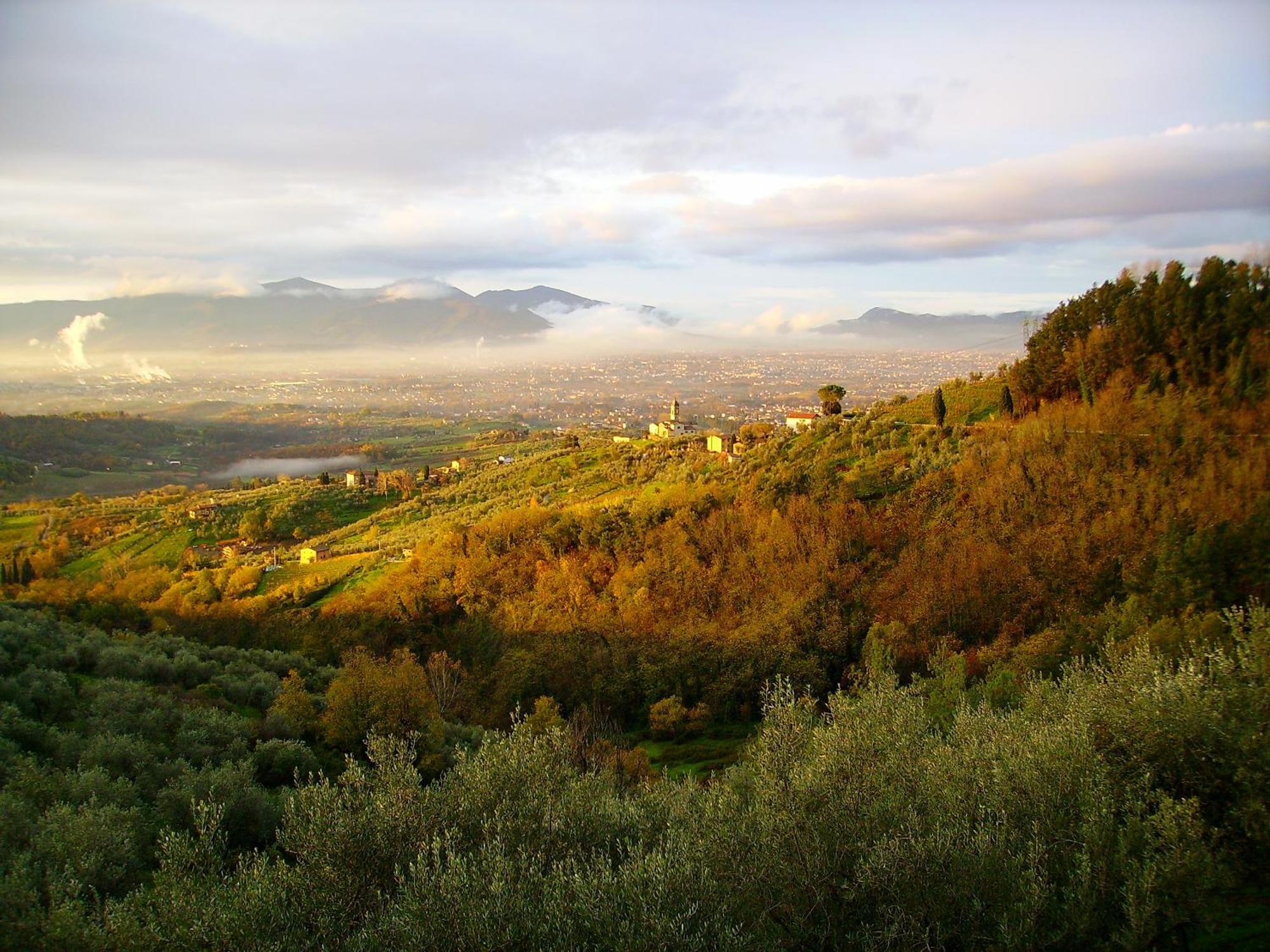 Fattoria Gambaro Di Petrognano Βίλα Collodi Εξωτερικό φωτογραφία