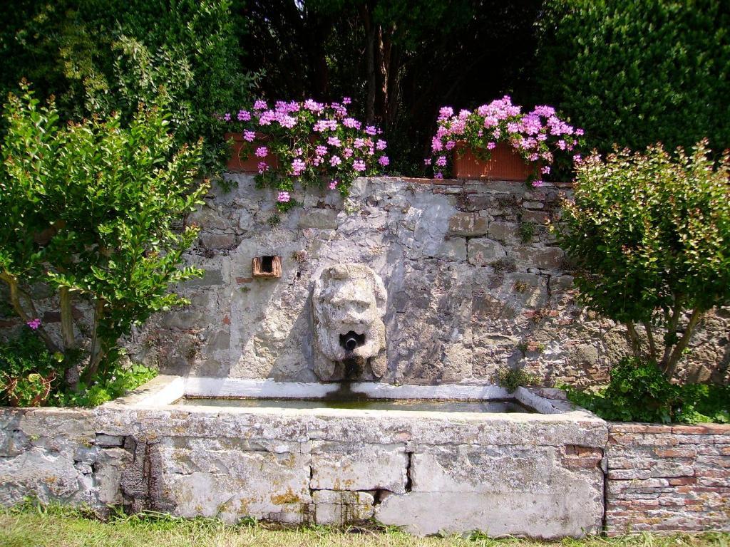 Fattoria Gambaro Di Petrognano Βίλα Collodi Εξωτερικό φωτογραφία