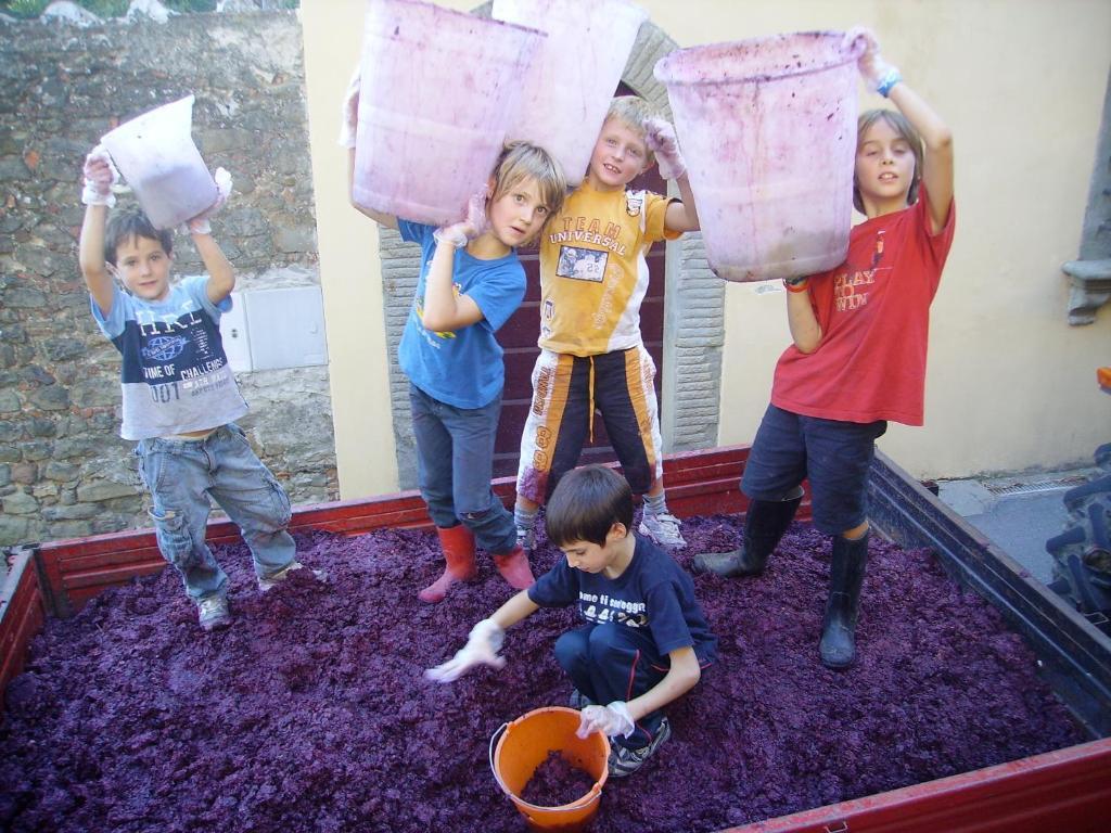 Fattoria Gambaro Di Petrognano Βίλα Collodi Εξωτερικό φωτογραφία